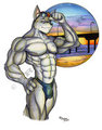 san diego boi by wolfgangcake