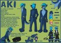 Aki Ref 3.0