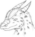 Achaius smiles at you