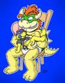Shade v. Bowser: Round 2