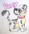 Kamy 