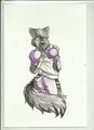 The Boxer by JettBlacke