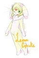 Flunn Auction