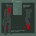 Calliff Reference sheet by Calliff