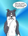 Mearcu as a Border collie by Mearcu