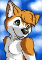 Some older pics.. by Fuffy