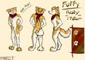 Refsheet by Fuffy