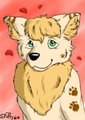 Mewww by Fuffy