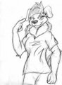 Collie Practice Sketch