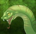 Hissy Fit