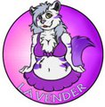 Lavender
