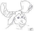 Melancholy moose