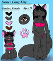 Cassy Kitty 2.0
