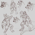 Daily sketch 003 by CoyoteWolfox
