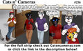 Cats n Cameras Strip #236 - Sudden and chaotic dissapearence