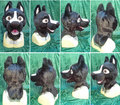 Black Pit Bull Head by ratcoffee