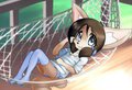Hammock by Delicious