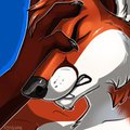 Seriously? Are You Hunters That %&$*#@^ Stupid?! by JasonWerefox