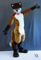 Elias fursuit