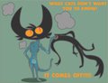 What Cats Don't Want You To Know
