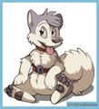 Husky by iveechan