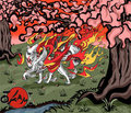 Okami