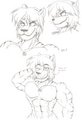 Noose the tiger  by BulgeMercenary