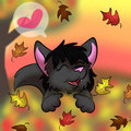 cassy's fall 2014 icon