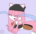 The Sorry Cat.
