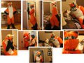 NEW fullsuit! by Jupiterfox