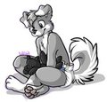 Padded pup