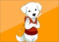 Samurai puppy dog by arineu