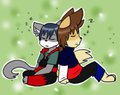 catnap