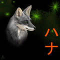 Hana kitsune 2