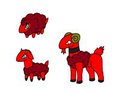 Soung Gedar Fire Starters