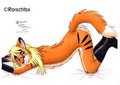 Playful Blaze III (fox)