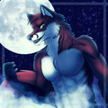 Enjoying the Full Moon Tonight by JasonWerefox