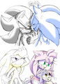 S.D 1 by BabyBackRibz