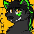 head shot by Tachi0nii