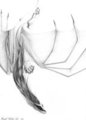 Danielle by Ahkahna