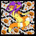 Meet Pumpkin by Pumpkin