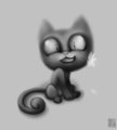 Silly kitty