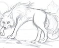 Wolf Sketch 1