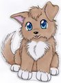 Scruffy Pup -Tan