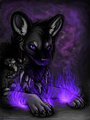 Amethyst Gaze by Khamisu