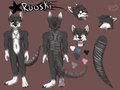 Rooski Reference Sheet by Fizzyfoxy