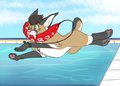 Midwest Lifeguard by WinterSnoWolf