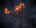 Shadowed Ember