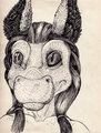 Salazar Lineart