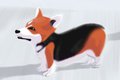 Corgi 